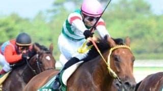 ハープスターが衝撃の直線一気 13年新潟2歳Sを振り返る