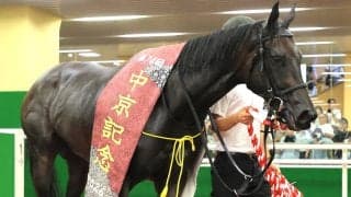 【注目馬動向】先週の中京記念Ｖのラヴァンダは連覇のかかるアイルランドＴへ