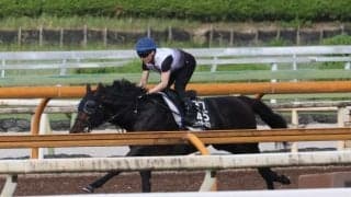ロックターミガン、不来方賞追い切り速報/栗東トレセンニュース