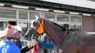 左目が見えないハンデ乗り越え…　ドコフクカゼが２戦目で初勝利　新原周馬騎手「一戦しての成長を感じた」川崎２Ｒ