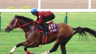 「有馬の流れか！」「恐るべき速さ」異例の芝コースで追い切ったダート王者フォーエバーヤングにネット騒然