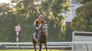 【新潟記念想定】ロデオドライブ、ドゥレッツァなど11頭