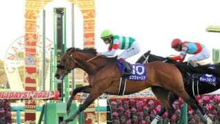 絶好調の新種牡馬が日高のセリでも大人気！初日に続いて３日目もエフフォーリア産駒が最高落札額をマーク