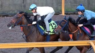 【中京２歳Ｓ・１週前】ビスケットサンドは精神面で大きく成長　陣営「理想の１週前の追い切りができました」