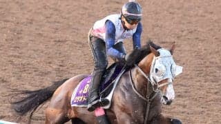 【新潟記念・１週前】さすがの伸び脚！３歳マイル王のロデオドライブに辻調教師「疲れを気にせず調教できている」