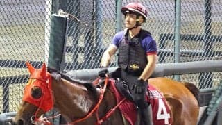 香港馬ファストネットワークがスプリンターズＳに予備登録　セントウルＳ出走へ向け２５日に来日予定