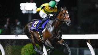 【川崎・スパーキングサマーC結果】ベアバッキューンが逃げ切って重賞4勝目を飾る