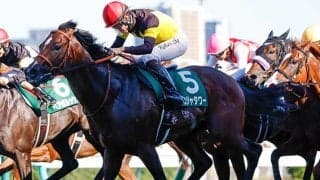 【キーンランドC予想】AIも高評価のパンジャタワー　キーンランドC連覇へ死角はあるか？