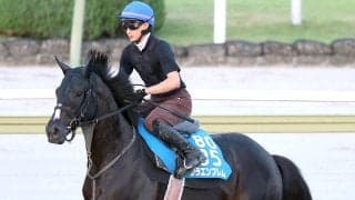 【キーンランドＣ】リラエンブレムは初のスプリント戦で新境地切り開く　武幸調教師「楽しみを持って挑戦できます」