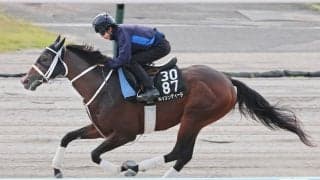 【キーンランドＣ】付きっきりで調整の川又賢治騎手がエイシンディードに太鼓判　「推進力も折り合いも…」