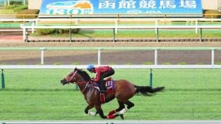フォーエバーヤングが芝で初の追い切り、「初めてと思えないぐらい…」坂井瑠星騎手も驚く１０秒８