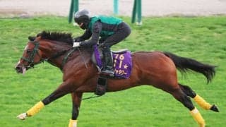 【キーンランドＣ】パンジャタワー連覇へ死角なし馬なり猛時計