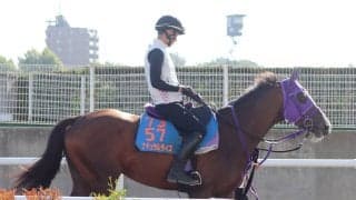 復活の兆し見せたばかり…昨年のダート２冠馬ナチュラルライズが右前浅屈腱炎を発症　ＪＲＡが発表