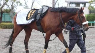 骨折からの復帰目指す青葉賞２着タイダルロック　２０日の追い切りで異変発生...エコー検査へ