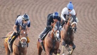 【新潟記念・１週前】アーバンシックが復活へ向けて１週ごとに上昇中　三浦皇成騎手「この馬らしさが出てきました」