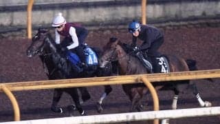 【新潟記念・１週前】初の重賞Ｖへダノンシーマが力強い伸び脚　陣営「ここまで順調に乗り込めている」