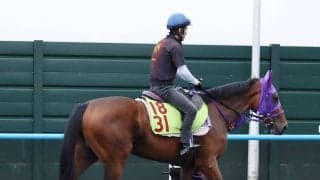 【ＰＯＧ】母はオープン２勝　キズナ産駒のアオイゲートは優等生　伊藤圭調教師「しっかりしているし、素直で融通が利く」