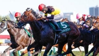 【キーンランドC枠順確定】パンジャタワーは2枠3番、ナムラクララは1枠1番