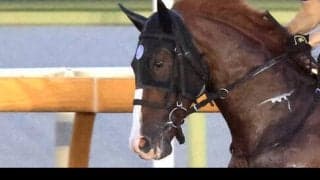 【ＰＯＧ談義】現場記者がジョッキー直撃「動ける態勢」の良血馬が中京で初陣　新馬４戦４勝と絶好調馬主の期待馬も