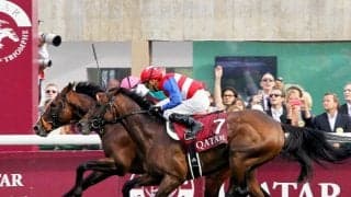 「そんなことになって…」「毎日祈ってます」体調崩した凱旋門賞２着馬に回復願う声続々　１０年宝塚Ｖナカヤマフェスタ
