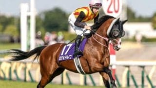 【新潟記念想定馬・騎手】ロデオドライブ、ゾロアストロなど11頭