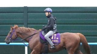 【キーンランドＣ・金曜気配】Ｇ１馬ウインカーネリアンは活気ある身のこなし　陣営「スイッチが入ってきています」