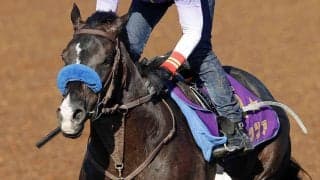 【注目馬動向】２３年菊花賞馬のドゥレッツァは田辺裕信騎手との初コンビで新潟記念へ