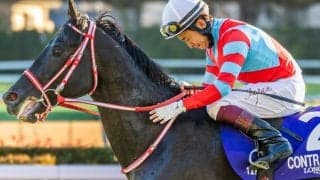 福永祐一厩舎の億超えコントレイル産駒 ドミナントが新馬勝ち狙う