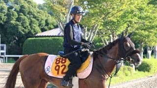 【朱鷺Ｓ・金曜気配】充実のシーズンを送るセフィロは今後へ大事な一戦　菊沢調教師「秋へ向けて賞金を加算したい」