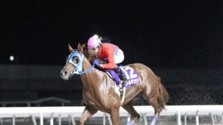 【名古屋・ベイスプリント結果】ゴールデンリングが3連勝で重賞初制覇