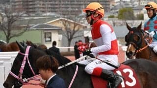 【今日の注目ポイント】朱鷺Sでショウナンザナドゥが復活勝利を狙う