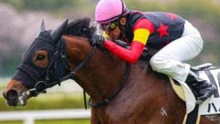 セレクト3.1億円の良血ハムタン 復帰戦で待望の初勝利なるか
