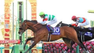 【２２日の注目・新潟５Ｒ】全兄に２１年の年度代表馬エフフォーリアを持つ良血馬　エヴィーヴァがマイル戦で待望の初勝利へ