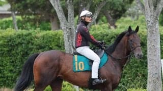 【２２日の注目・札幌１Ｒ】ルメール騎手が２か月ぶりのＪＲＡ復帰戦　国枝厩務員が手がけるトゥザファイナルに騎乗