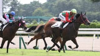 【新潟１Ｒ・２歳未勝利】コスモイェーガーが２戦目で順当勝ち　菊沢一樹騎手「ポテンシャル感じていた」