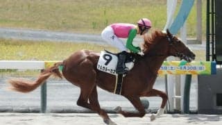 【中京2R新馬戦結果】マルカルーカスが豪快に差し切ってデビューV