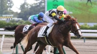 【新潟３Ｒ・２歳新馬】田辺裕信騎手「あやしい部分がある」と半信半疑も…単勝１・７倍ジップスパーク完勝