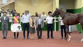 【中京２Ｒ・２歳新馬】マルカルーカスが上がり最速でまとめて差し切る　幸英明騎手「伸びしろがあると思います」