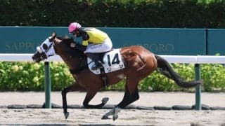 【札幌３Ｒ・３歳未勝利】リンが初Ｖ　松山弘平騎手＆深澤朝房オーナーのコンビでパンジャタワーの“前祝い”