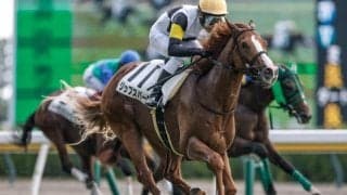 【新潟3R新馬戦結果】ジップスパークが好位から抜け出し快勝！