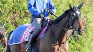 【ブリーダーズＧＣ】重賞連勝を狙うペンダントは７枠８番　地元ホッカイドウのゼロアワーは２枠２番　枠順確定