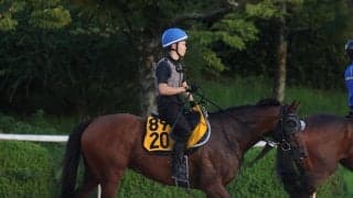 土曜新潟競馬場の注目激走馬…新潟７Ｒ朱鷺ステークス（Ｌ）