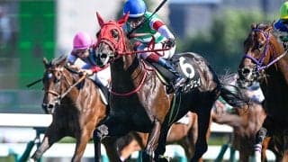 【クローバー賞結果】ブルージェイが追い比べを制してデビュー2連勝
