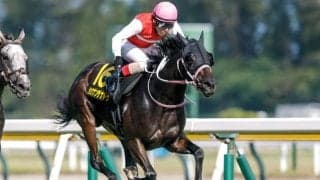 【朱鷺S結果】ショウナンザナドゥ、ゴール前で7頭が並ぶ大激戦を制す