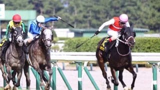 【新潟７Ｒ・朱鷺Ｓ】ショウナンザナドゥが大激戦制し１年５か月ぶりＶ　吉田豊騎手「ブリンカーも効いている」
