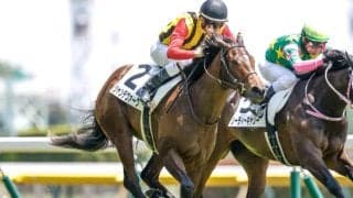 【新潟2歳S予想】小柄な馬の取り扱いには要注意!? 前走のパフォーマンスを鵜呑みできない人気の一角とは