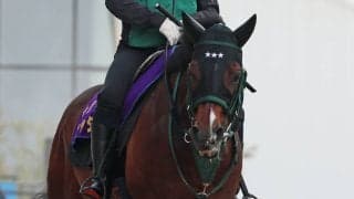 【キーンランドＣ・土曜気配】連覇狙うパンジャタワーは活気満点　陣営「レースに向けての馬の気持ちは去年より強い」