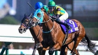 【JRA・WIN5】本日のWIN5は的中111票、配当243万4420円