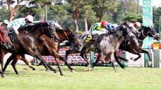 ハナ、ハナ、アタマ、ハナ、ハナ、ハナ差の大激戦は３連単１２０万円超　「えぐ！！！！」「みんな仲良し」ネット騒然