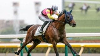 【新潟2歳S前日オッズ】レッチュベルクが3.0倍で1番人気